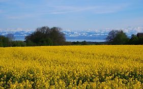 Apartment Lake Constance